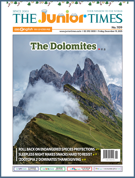 The Junior Times